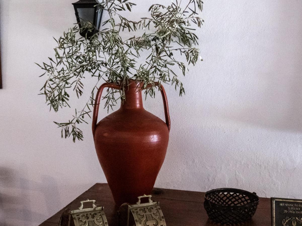 Monte Das Oliveiras Arraiolos Dış mekan fotoğraf