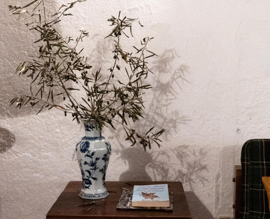 Monte Das Oliveiras Arraiolos Dış mekan fotoğraf